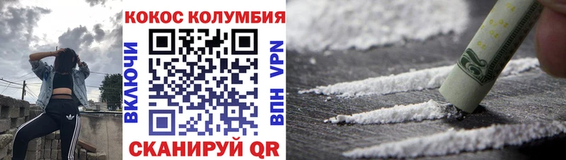 Купить закладки  Елизово  COCAIN 98% 