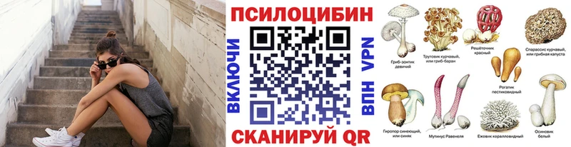 Псилоцибиновые грибы мицелий Купить где Елизово