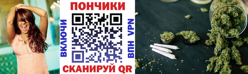 Бошки марихуана план  Купить  Елизово 